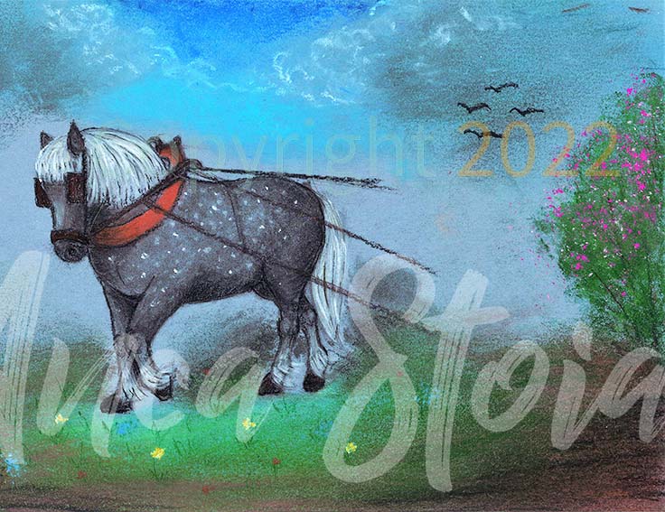 horse